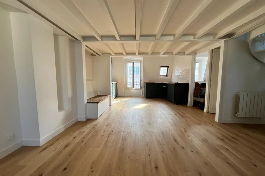 Renovation dupleix Paris 19 salon